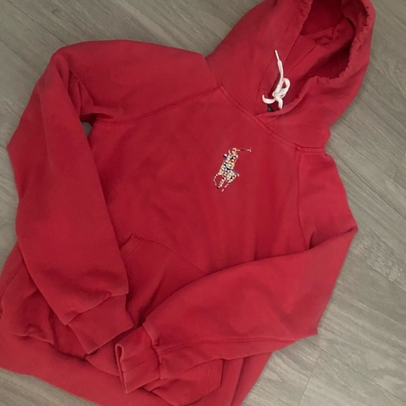 ✨ Ralph Lauren Polo Hoodie ✨ - Picture 3 of 6